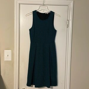 41 Hawthorn blue polka dot black dress